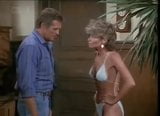 Markie Post in The Fall Guy snapshot 4