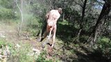 transvestite outdoors forest anal sextoy fisting man 20 snapshot 6