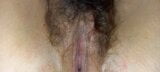 Hairy Pussy 16 snapshot 5