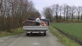 Elli fuck on a Truck snapshot 13