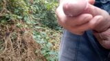 Rockardglans Pisse und Sperma im Freien snapshot 9