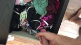 Cum on gfs panty drawer snapshot 4