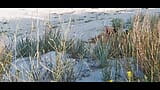 Couple Caught on Camera Having Sex on the Beach snapshot 2