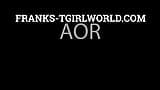 FRANKS-TGIRLWORLD: Welkom Back Aor! snapshot 1