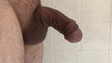 Growing cock 2 snapshot 2