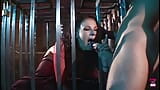 A Brunette in a Cage Deepthroats and Sucks a Cock in Order to Be Free snapshot 7