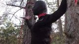 Прив&#39;язаний до дерева, в масці і на відкритому повітрі з глибоким минетом без пощади snapshot 1