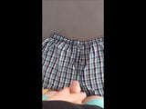 Die Boxershorts snapshot 3