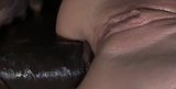 Bdsm anal esguichando snapshot 11