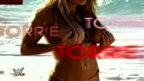 Torrie wilson titantron snapshot 2