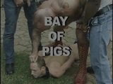 Залив свиней snapshot 1