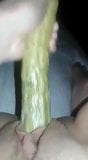 Cucumber pussy sex snapshot 1