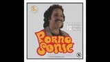 Pornosonic 70's música porno snapshot 2