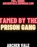Gang de prison, entraînement d'esclave BDSM, gangbang (histoire audio gay m4m) snapshot 2