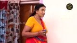 Mallu servant aunty snapshot 9