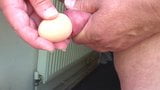 Prepucio con huevo de goma snapshot 5