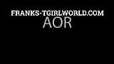 FRANKS TGIRLWORLD: СЧАСТЛИВЫХ ПРАЗДНИКОВ ОТ AOR! snapshot 1