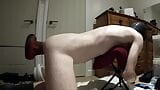 Pup gets hole wrecked by Henry on the Machine - Giant dildo and belly bulges snapshot 8