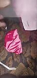 MY NEW PINK LEOTARD snapshot 1