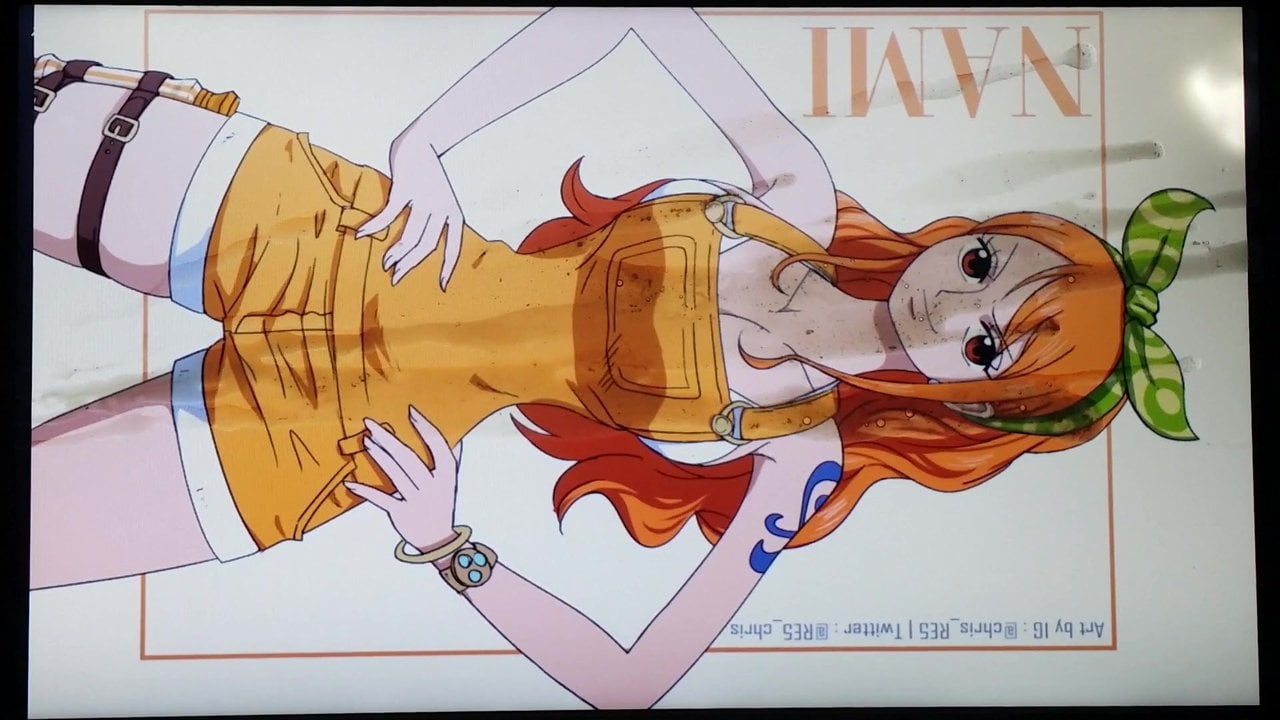 Nami Sop 17 (jeden kus)