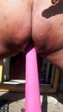 HUGE PINK HORSE DILDO - CLOSETOP - EXTREME CAROLASMIT - DGB snapshot 4