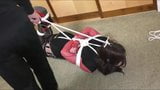 Hogtied and Tabletied snapshot 4