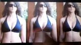 TRIBUTE TO ANUSHKA SETTY  2 snapshot 3