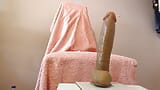 Mijn grote kont gapen met twee enorme dildo's snapshot 12