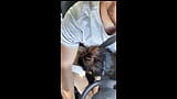 Aziatisch meisje geeft chauffeur een pijpbeurt tijdens het rijden - hij stopt en neukt haar snapshot 5