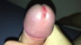 Saftige Schwanz-Masturbation snapshot 9