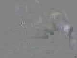 Piedi di ragazzi etero sulla webcam # 37 snapshot 1