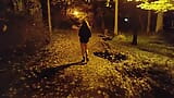 She flashing tits and undresses in a public park at night snapshot 10