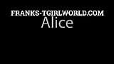 FRANKS TGIRLWORLD: ALICE TE TACHINEAZĂ FRUMOS! snapshot 1