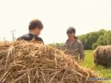 Love in the hay. snapshot 1