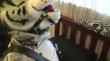 fursuit wanking snapshot 11