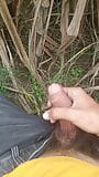 Indian gay outdoor sex full video snapshot 1