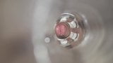 Testing my new clear Fleshlight snapshot 2