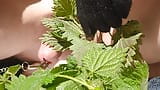 Nettles cock torture 2024 snapshot 5