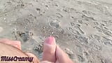 Schwanzblitz - Ein Mädchen hat mich beim Wichsen an einem öffentlichen Strand erwischt und mir beim Abspritzen geholfen 2 - MissCreamy snapshot 11