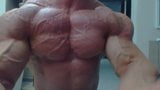 Str8 bodybuilder daddy flexing snapshot 1