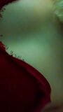 Soirée beau strip-tease maison en lingerie rouge et masturbation snapshot 10