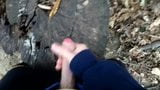 JERK IN THE WOOD.. WITH CUM AND MOAN snapshot 8