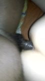 Anal snapshot 1