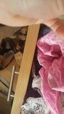 Girlfriend's Sisters Second Panty Drawer snapshot 7