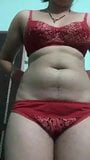 Indische seksvideo snapshot 3