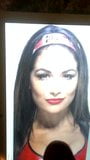 Nova - WWE Brie Bella Cum Tribute snapshot 3