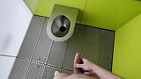 Public cumshot at reststop toilet snapshot 4