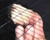 Slavegirl – Sucking in a Cage snapshot 1