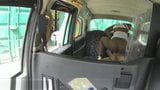 Ebony taxi brit cumsprayed by taxi driver snapshot 10