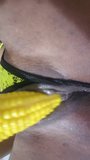 Corn snapshot 10